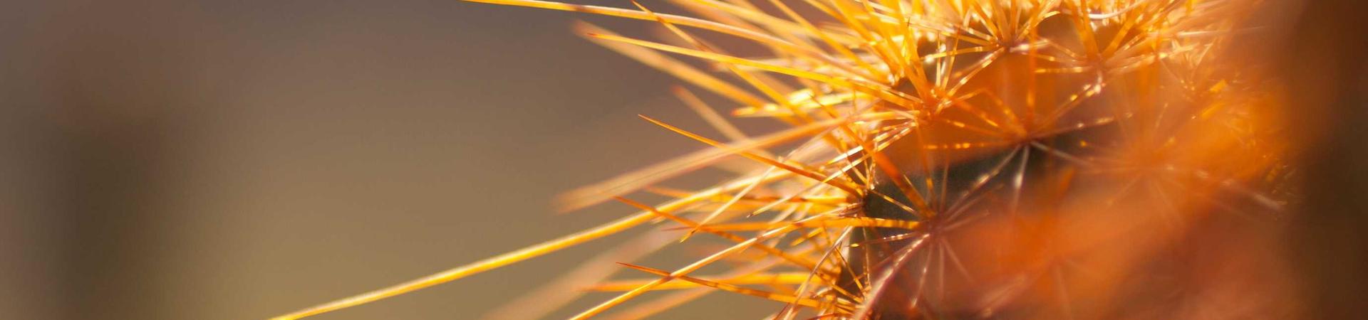 新河县宏海水利机械厂 &middot; 周口分公司